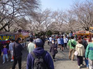 鴻巣公園の桜を楽しむ来場者