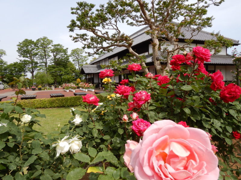 花久の里の画像2