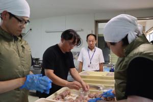 まずは見学して