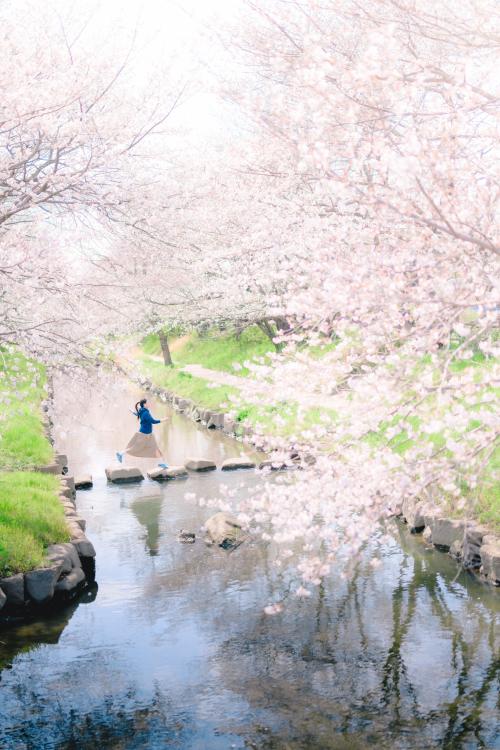 受賞作品　鴻巣市賞　1作品目