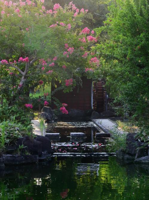 受賞作品 鴻巣市賞 3作品目