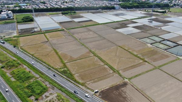 令和4年6月2日撮影
