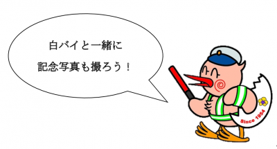 ひなちゃん写真