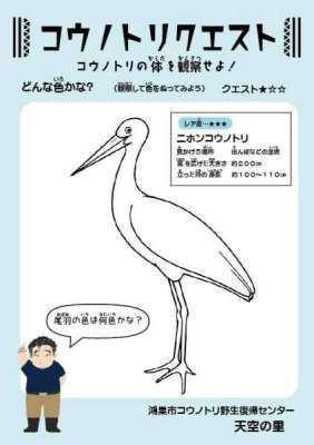 コウノトリの問題を解いて、コウノトリ博士になろう！の画像2