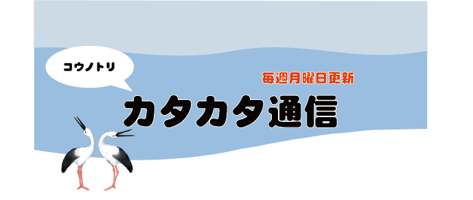 カタカタ通信イラスト