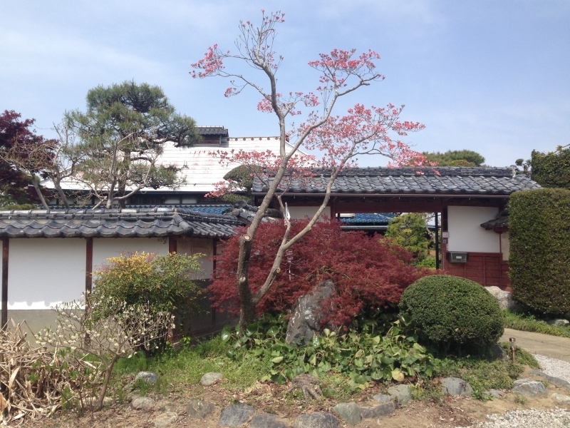 小林庭(ホール・ギャラリー喫茶「紫苑」)の画像2
