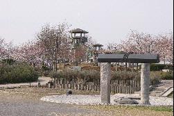 荒川パノラマ公園の画像3