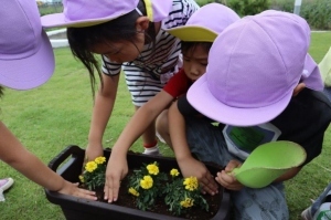 幼保施設花いっぱい事業の画像1