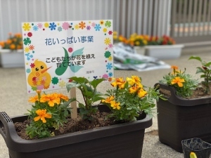 幼保施設花いっぱい事業の画像3