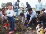 なかよし広場寺谷保育園画像