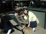 （写真）カンガルーと触れ合う生徒たちの様子