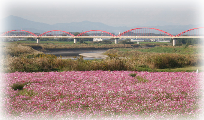 (写真)水管橋の画像