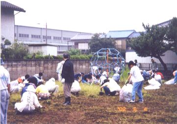 奉仕活動写真