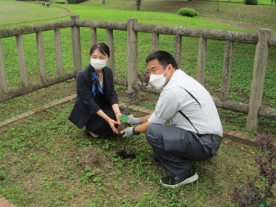 トキワマンサクの苗木を植樹する市職員と埼玉トヨペット社員