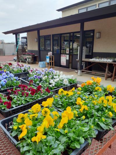 花と音楽の館 かわさと 花久の里の外観写真