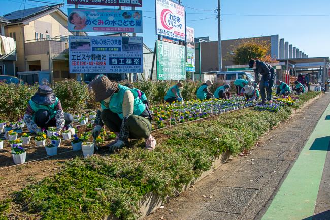 2022年11月に市役所前で実施した花壇植栽の様子の写真