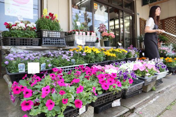 矢島生花店の店外の様子