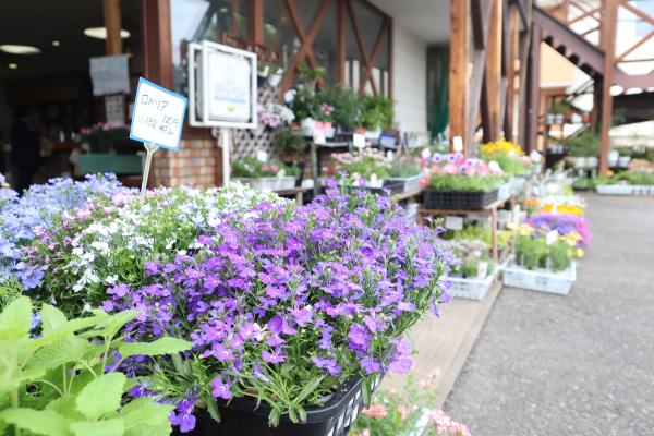 ダンエモンの店外の様子