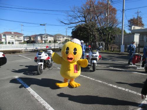 ひなちゃんと白バイ