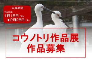 コウノトリ作品展募集ページtop画像