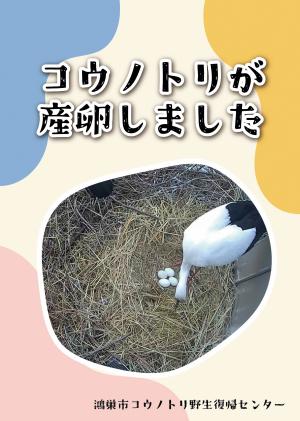 産卵しました