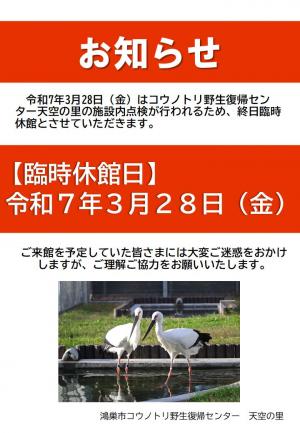 お知らせ