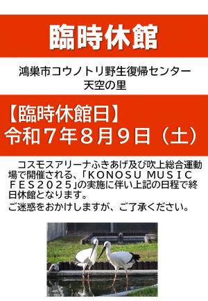 お知らせ