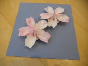 見本　桜