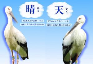 晴と天