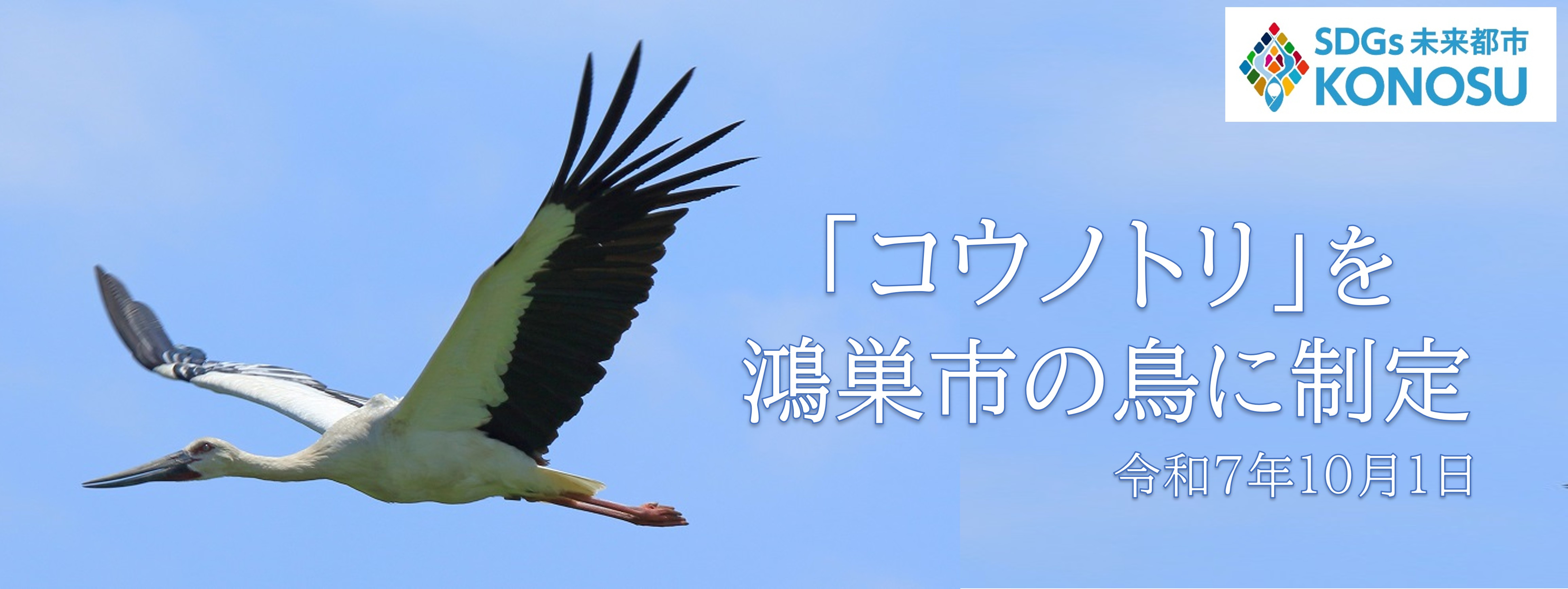 「コウノトリ」を鴻巣市の鳥に制定の画像