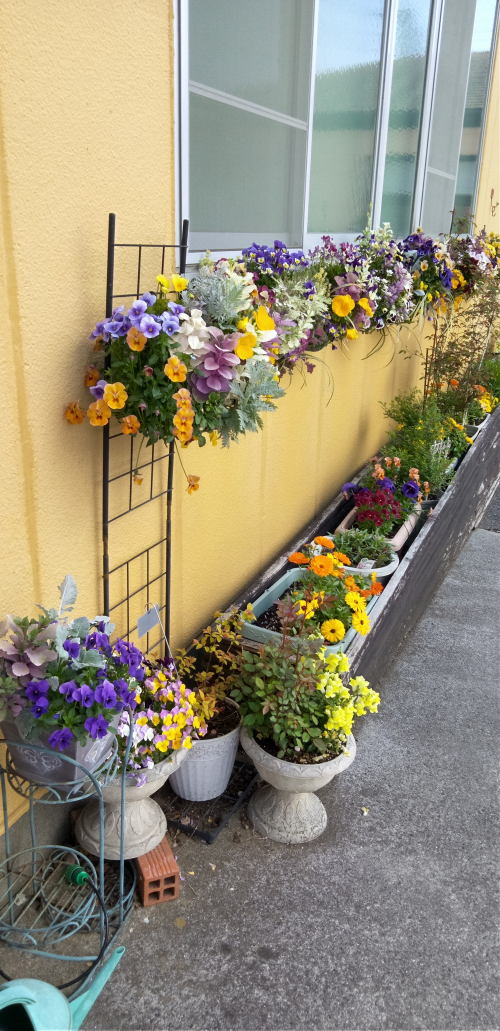 井上庭の画像6