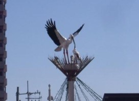 モニュメント(鴻巣駅東口)
