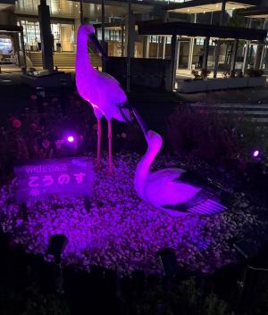 ピンク色ライトアップしたコウノトリ