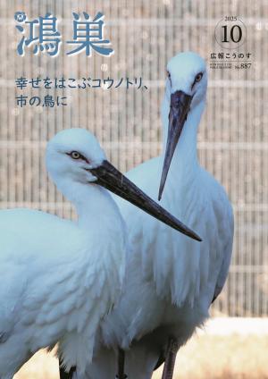 広報10月号の表紙(コウノトリ２羽がこちらを見ている)画像