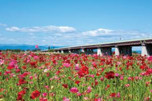 環境にやさしいまちづくりに関する事業のイメージ写真