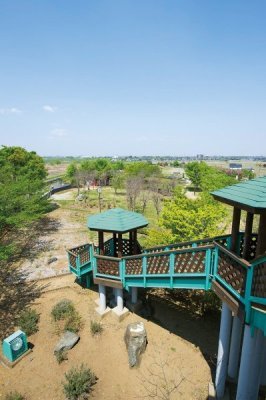 荒川パノラマ公園