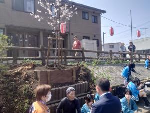 植樹した桜について説明する市長