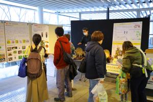 こうのとりSDGsフェスティバル2026画像