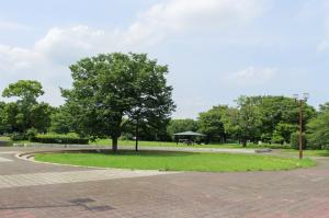 川里中央公園