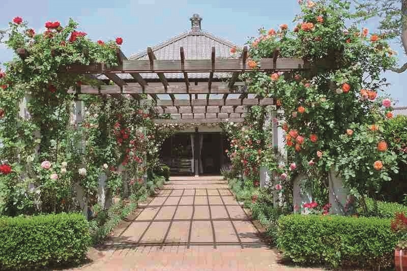 花と音楽の館かわさと「花久の里」の画像