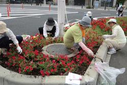 花のボランティア活動の様子1