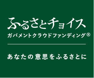 ふるさとチョイスガバメントクラウドファンディングの画像