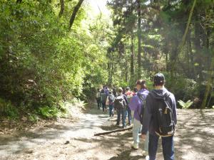 ハイキングの様子