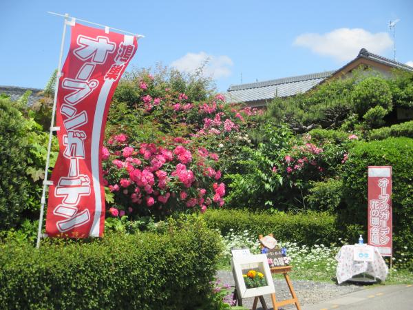 ５　坂本庭の画像