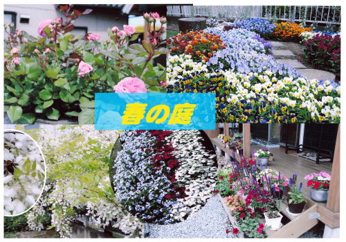 ９３　早川庭の画像１
