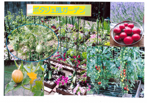 ９３　早川庭の画像３