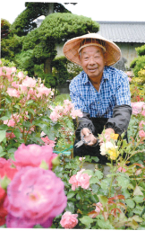 ８４　小野澤庭
