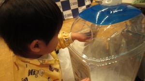 ブリスター回収の様子