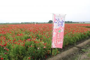 のぼり旗