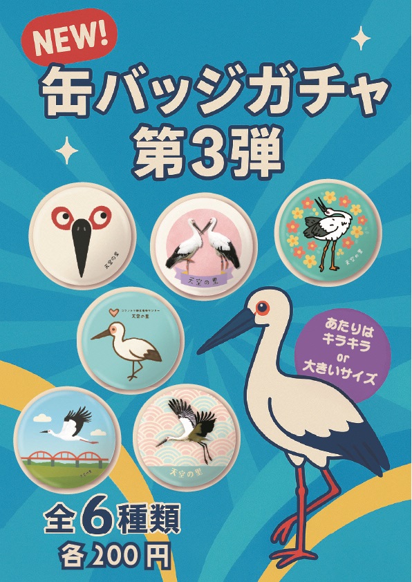 チラシ